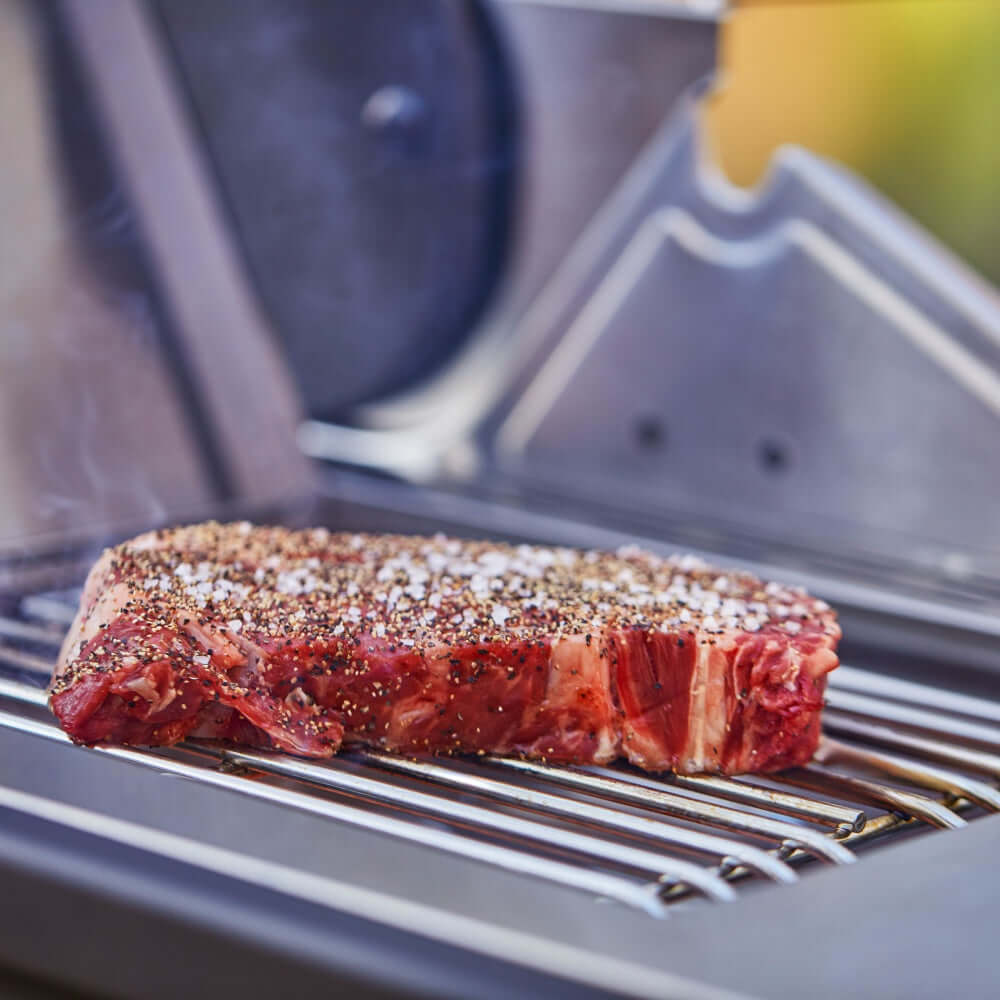Monument Grills Denali 605Pro Stainless Smart Propane Gas Grill