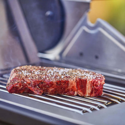 Monument Grills Denali 605Pro Stainless Smart Propane Gas Grill
